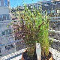 Domus City Apartment with wonderful balcony - Chambres d'hôtes Thessalonique