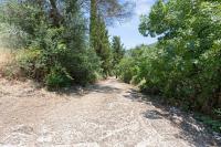 Olive Haven Nidri New Listing PROMOTION - B&B Neochori
