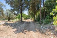 Olive Haven Nidri New Listing PROMOTION - B&B Neochori