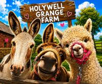 Holywell Grange Farm - B&B Whitley Bay