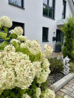 Moderne 1-Zimmer-Gästewohnung im Neubau mit schönem Garten - Ferienwohnung Pronstorf