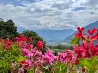 Obermairhof - B&B Partschins
