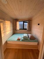 Bereke Kolsay Eco Cabin - B&B Saty