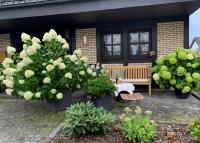 Stadtvilla Annabelle - mit Sauna - Chambres d'hôtes Meschede