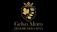 Gelso Moro Fashionable Stay in the Old Garden - B&B Lucca