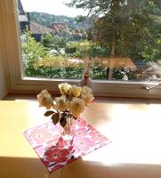Ferienwohnung mit Balkon Auszeit Braunlage - Ferienwohnung Braunlage