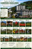 Brinchang Cameron Highland Nest Cool Weather & Cozy 10 Pax Clover Home 8-23A - B&B Brinchang