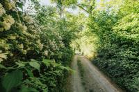 Natur-Refugium am Waldrand - B&B Mainleus