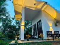 Lagoon turtle - B&B Tangalle
