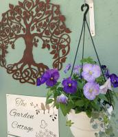 The Garden Cottage - B&B Polokwane