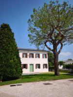 L'Albero del Tempo - B&B Falze