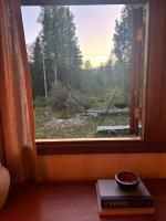 Cozy and undisturbed mountain cabin near alpine and ski slopes - Ferienwohnung Austbø