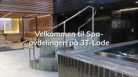 Penthouse toppleilighet med utmerkede solforhold sentralt ved jernbanestasjon, kjøpesenter og IKEA - Chambres d'hôtes Trondheim