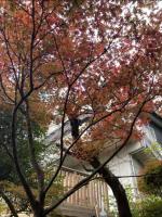 熱海の貸切温泉宿 kintsugi プライベートサウナ BBQ - B&B Atami