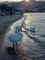 Diokris Apartment Modern & Cozy Stay near Lake Ohrid - Chambres d'hôtes Pogradec