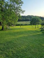 Agriturismo Case in Collina - B&B Volta Mantovana