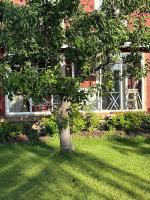 Charming, quiet apartment - B&B Kvissleby
