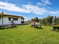 La Pace del Brolo dello Agnellino - B&B Paitone