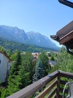 Vila Miro Monte - B&B Buşteni