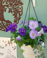The Garden Cottage - B&B Polokwane