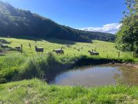The Shepherd's Retreat Luxury Secluded and private Cosy Hut Outdoor Bath with Firepit Scarborough - Chambres d'hôtes Scarborough