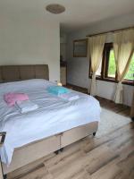 Villa Golden Coin - Zlatnik - Ferienwohnung Dragomance