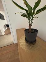 MiNa Lak - B&B Miskolc