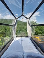 Tent Less Private Jet 