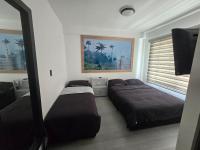 Pipe's House-Condor de los Andes - B&B Salento