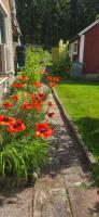 Cozy home in woods near Immeln with fireplace & BBQ - Ferienwohnung Immeln
