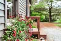Romantic Cabin Hot Tub King Bed Private Forest - Chambres d'hôtes Rockbridge