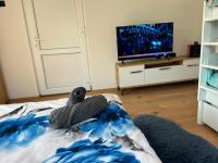 ADUSHI Home - B&B Prizren
