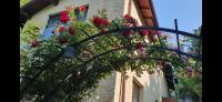 Nature Surrounded 1 Bedroom apartment - B&B Cluj-Napoca