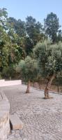 Gondar Stays Estúdio - B&B Mosteiro