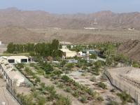 Neem camp - Chambres d'hôtes Nizwa