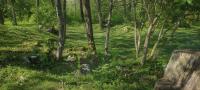 Kuca za odmor Lipa - Bed and Breakfast Sinac