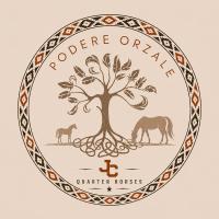 Podere Orzale Agriturismo Glamping Cavalli - Bed and Breakfast Usigliano