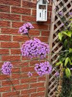 Holiday home in Glastonbury Somerset - B&B Glastonbury