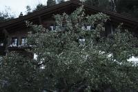 Haus Mannenberg - Chambres d'hôtes Zweisimmen