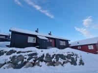 Koselig hytte sentralt på Norefjell, ski in & out - B&B Surteberg