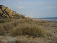 Apartamento Conquistadores Mazagon 2 Hab 4 Pers max - B&B Mazagón