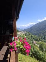 Dolomites View Apartment - Mountain Relax Experience - B&B Cibiana di Cadore
