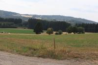 Ferienoase übern Zottbachtal - B&B Pleystein