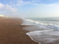 The Stables - B&B Brighton