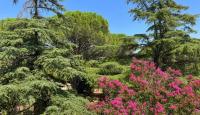 Poggio Madonna - B&B Campagnatico