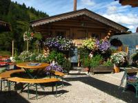 Hütte Wilfried - B&B Hainzenberg