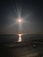Studio Luna Del Mar - Casa del Mar - Ferienwohnung Mamaia