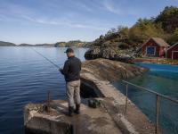 New Villa Fishing Sunset Terrace Fireplace Hiking - B&B Ask