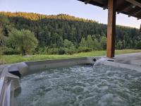 Chalet M2 - Bed and Breakfast Lunca Bradului