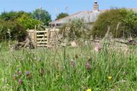 Tremerth Cottage - B&B Paul